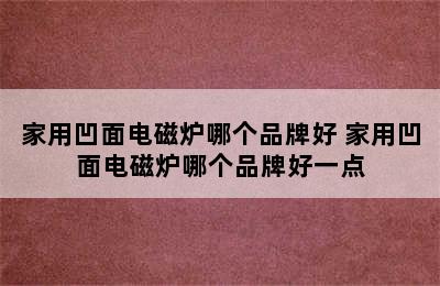 家用凹面电磁炉哪个品牌好 家用凹面电磁炉哪个品牌好一点